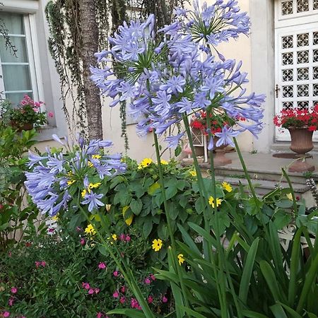 La Belle Vie B&B Montreal  Екстер'єр фото